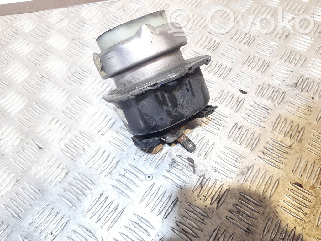 BMW X6 E71 Dzinēja spilvens 