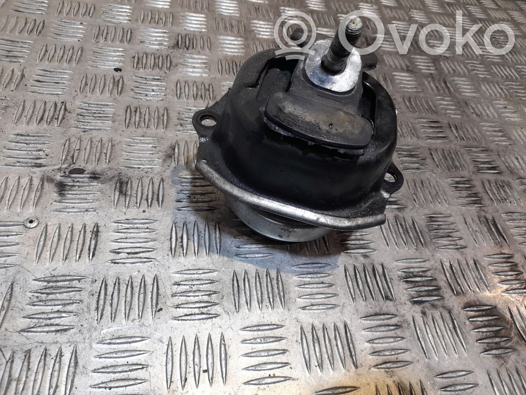 BMW X6 E71 Dzinēja spilvens 