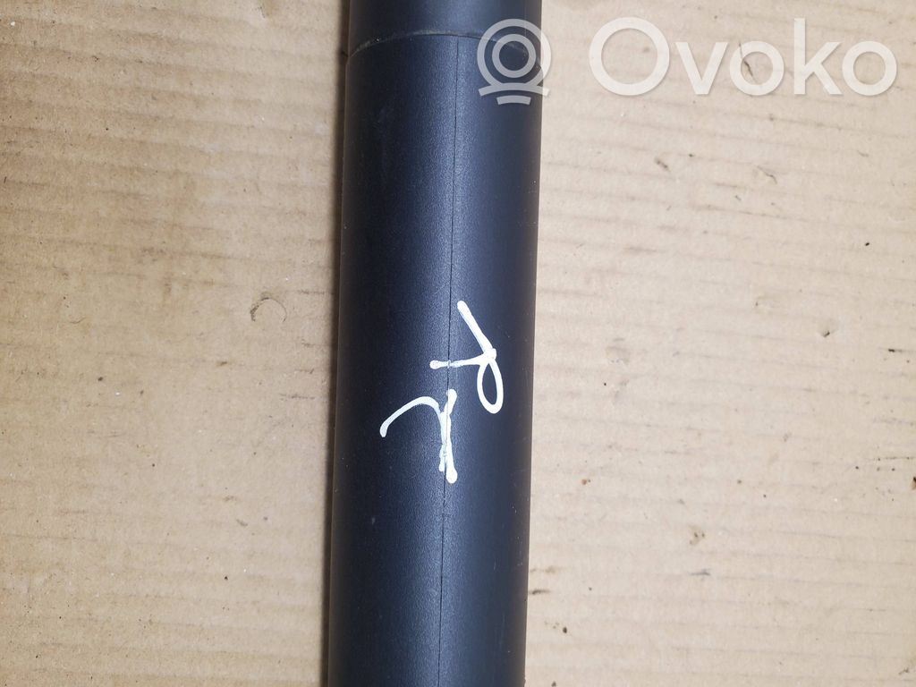 Dodge Durango III Tailgate/trunk strut/damper 