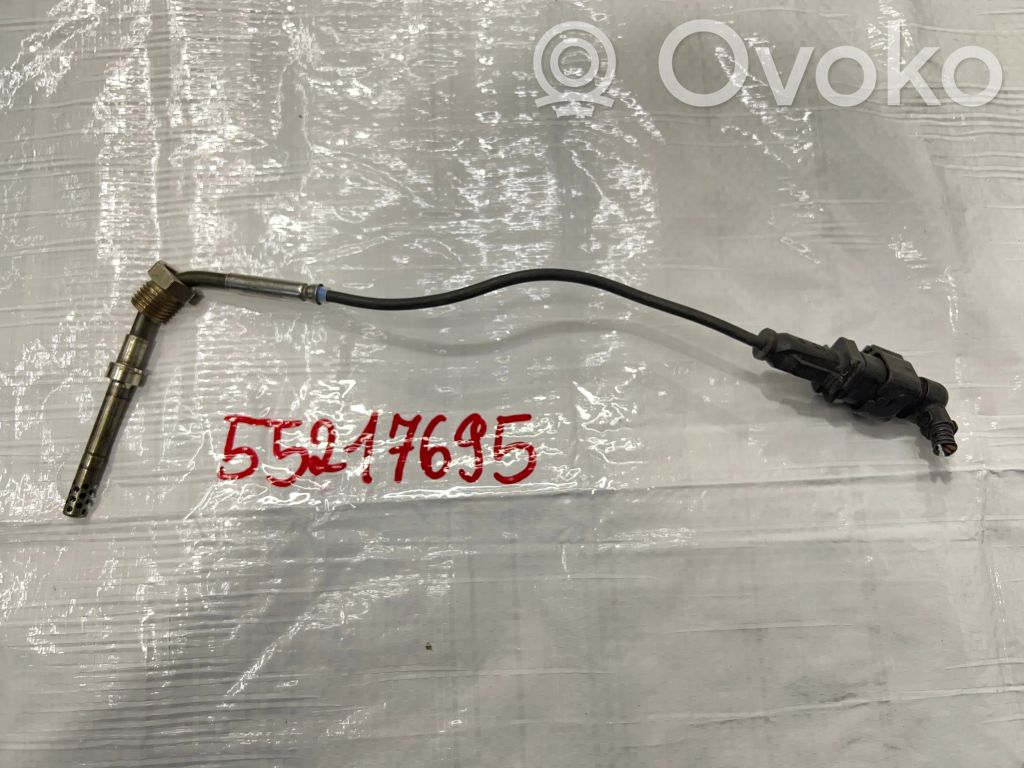 Fiat Bravo Exhaust gas temperature sensor 