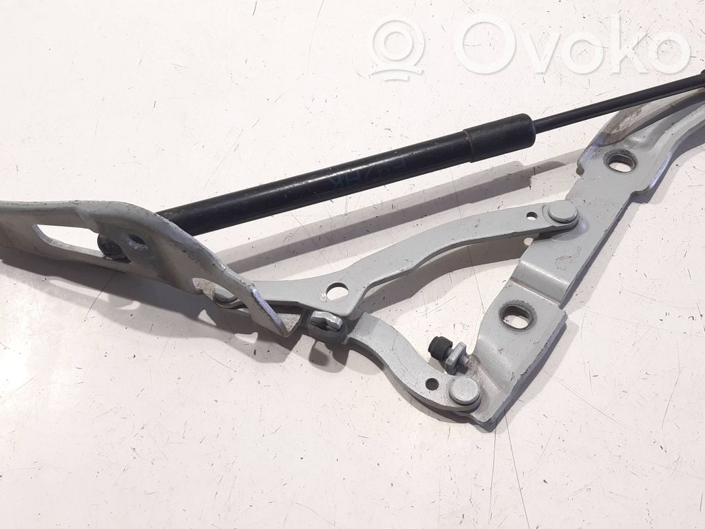 Scharnier Motorhaube   7060628,ES03