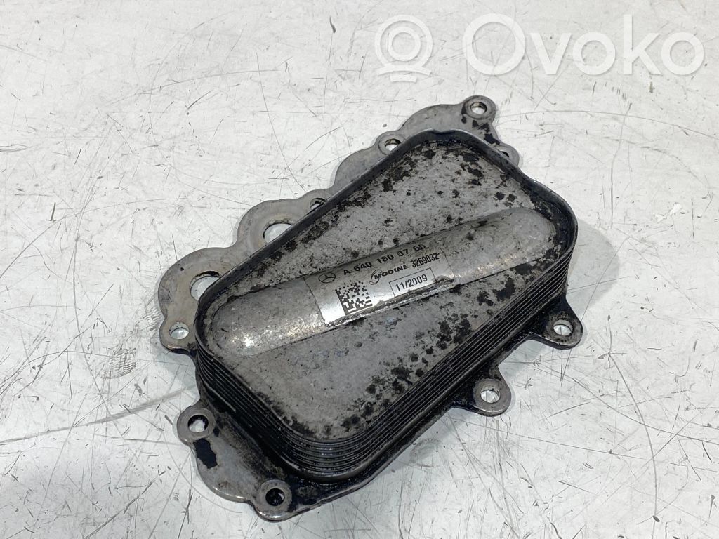 Mercedes-Benz B W245 Engine oil radiator 