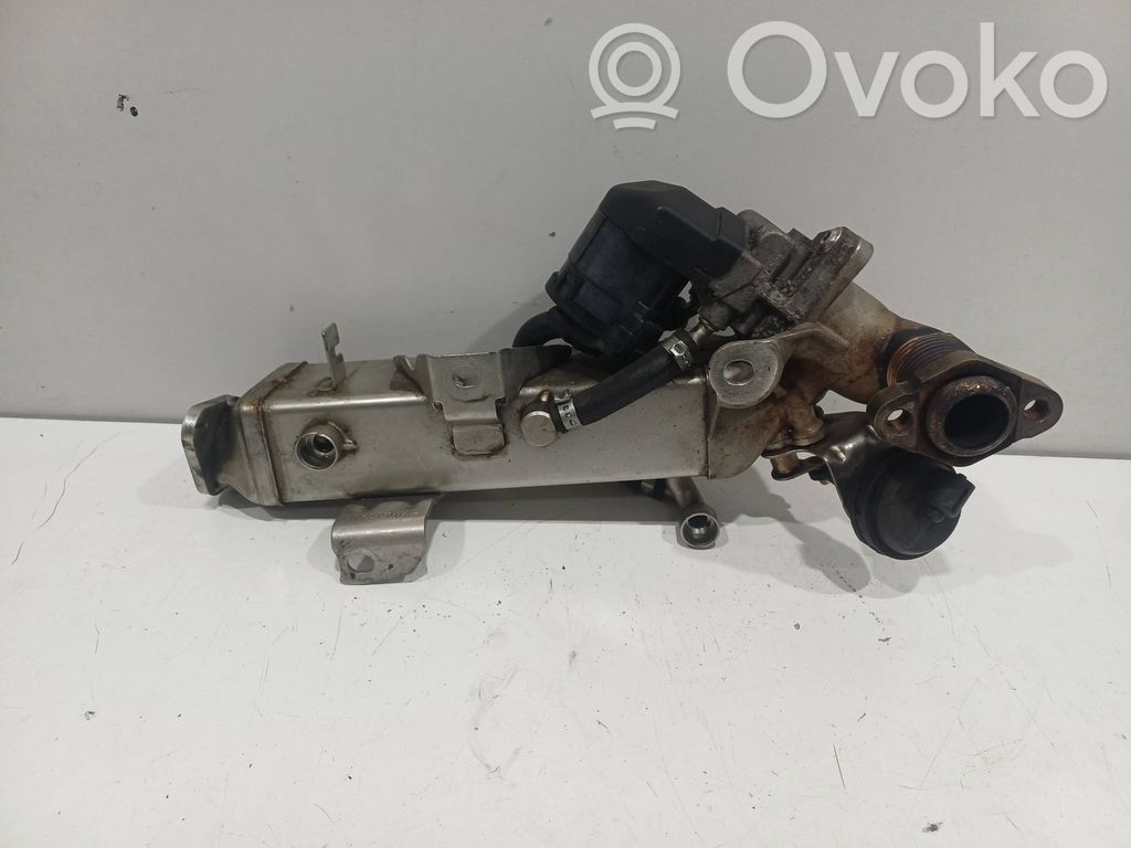 EGR dzesētājs   7810751,877012,123398