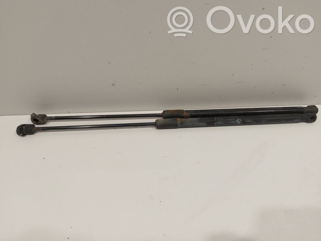 Tailgate/trunk strut/damper   2990136
