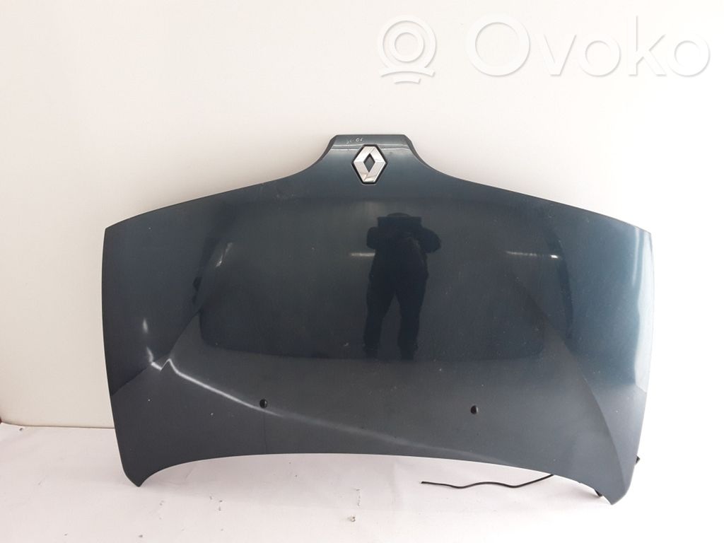 Renault Scenic I Konepelti 