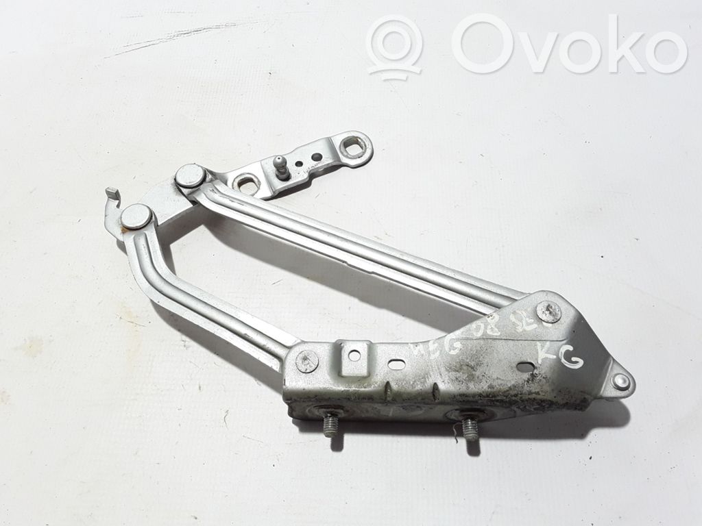 Renault Megane II Tailgate/trunk/boot hinge 