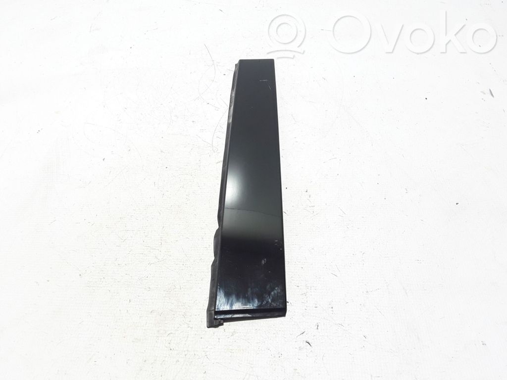 Chrysler Pacifica Sliding door trim 