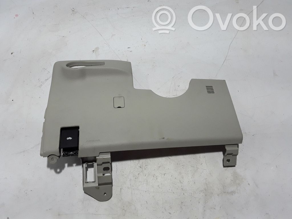Chrysler Pacifica Panel trim 