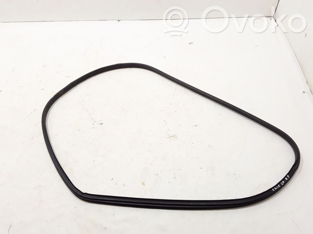 Renault Clio V Front door rubber seal 