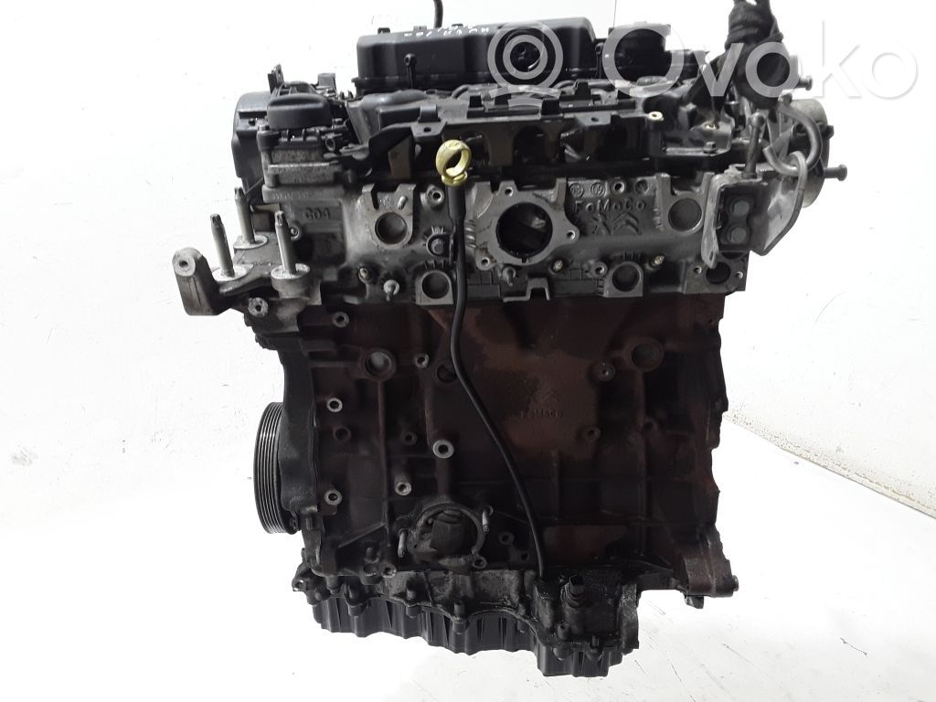 Ford Kuga II Variklis 