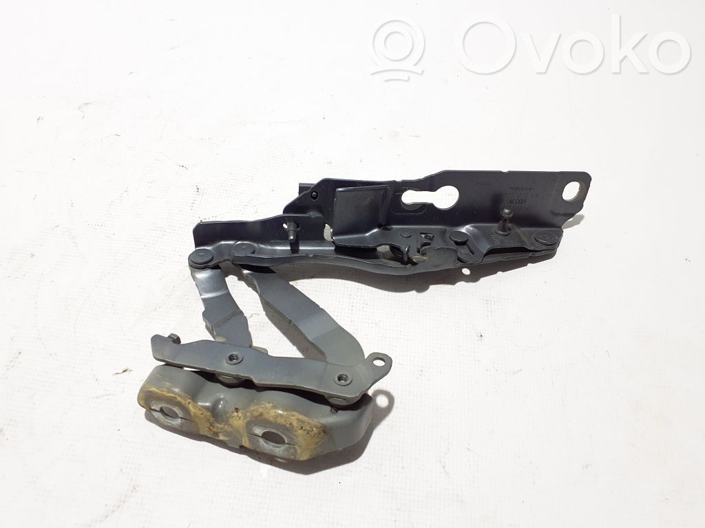 Volvo S60 Balamale capotă 