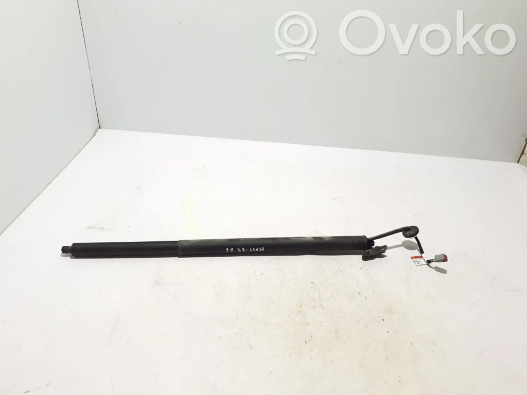 Tailgate strut   LJ8BR402A54AD