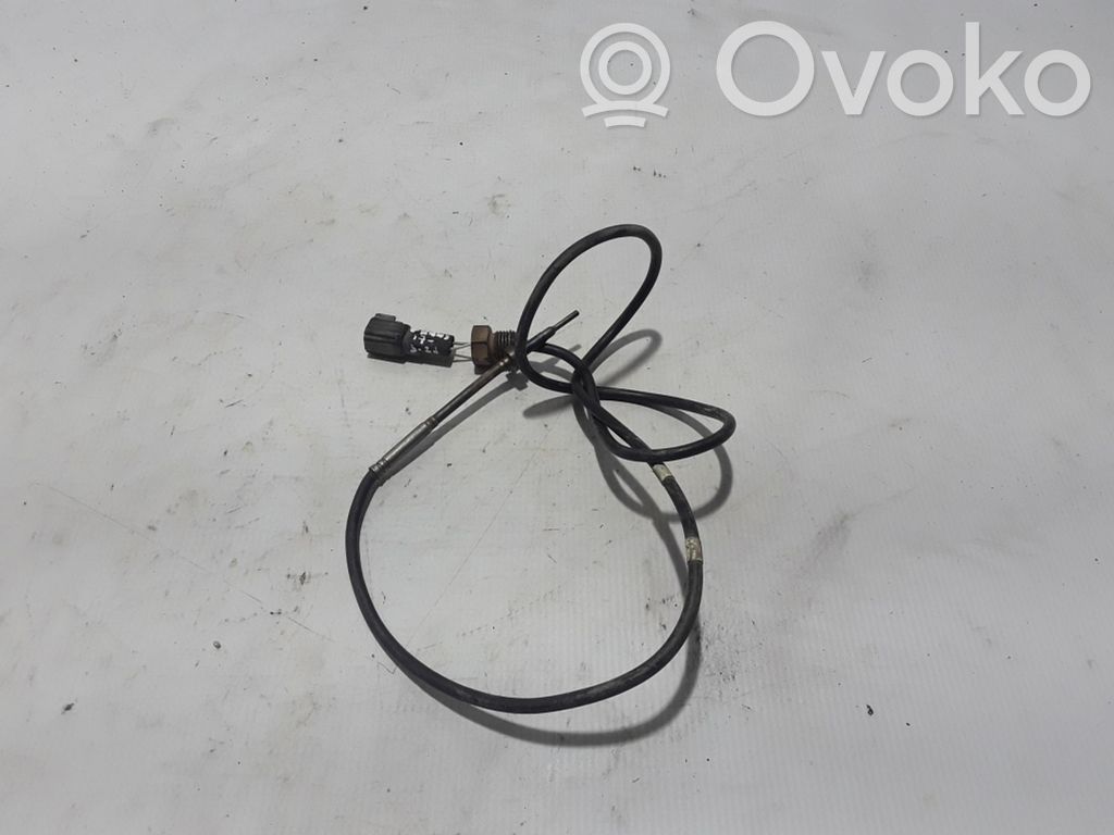 Abgastemperatursensor   EB3G12B591BB
