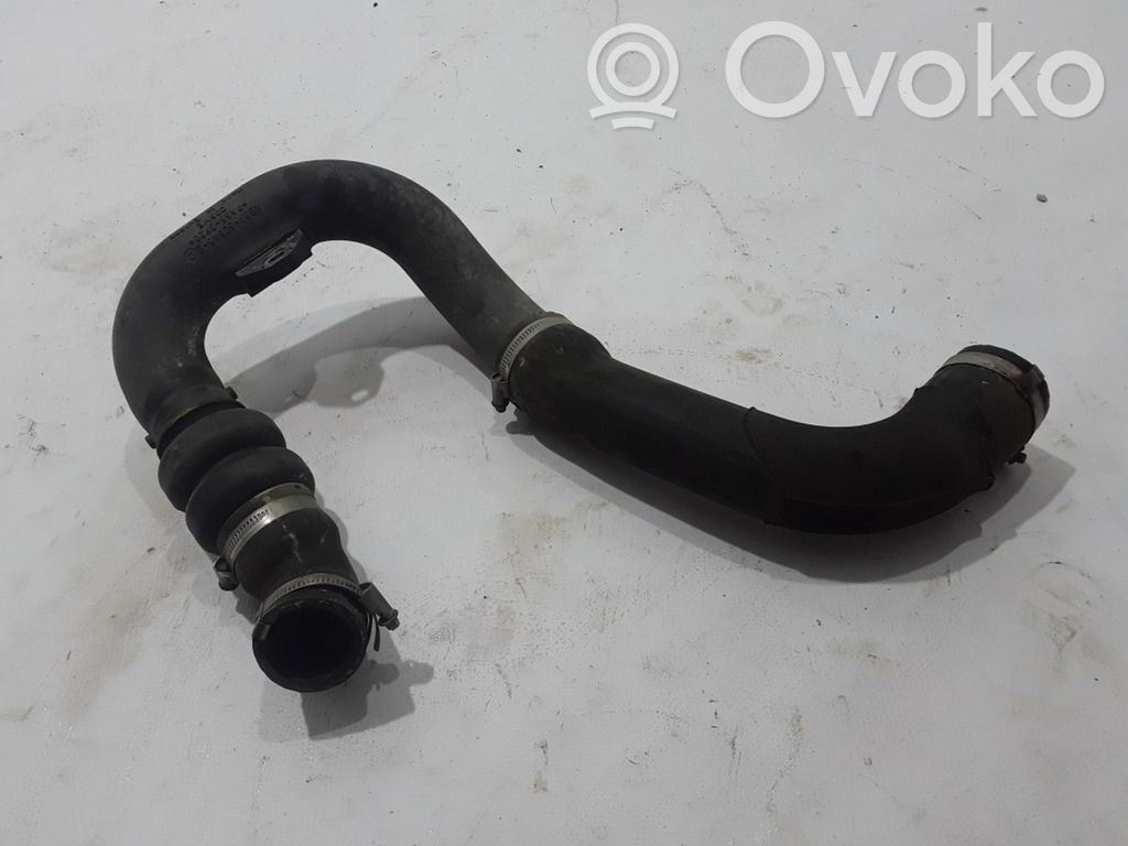 Ford Ranger Interkūlera šļūtene (-es) / caurule (-es) 