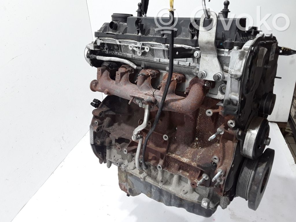 Motor   1885682