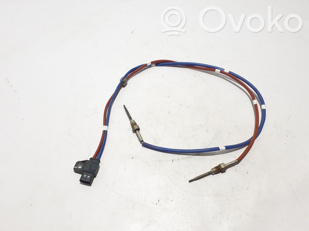 Renault Express Exhaust gas temperature sensor 