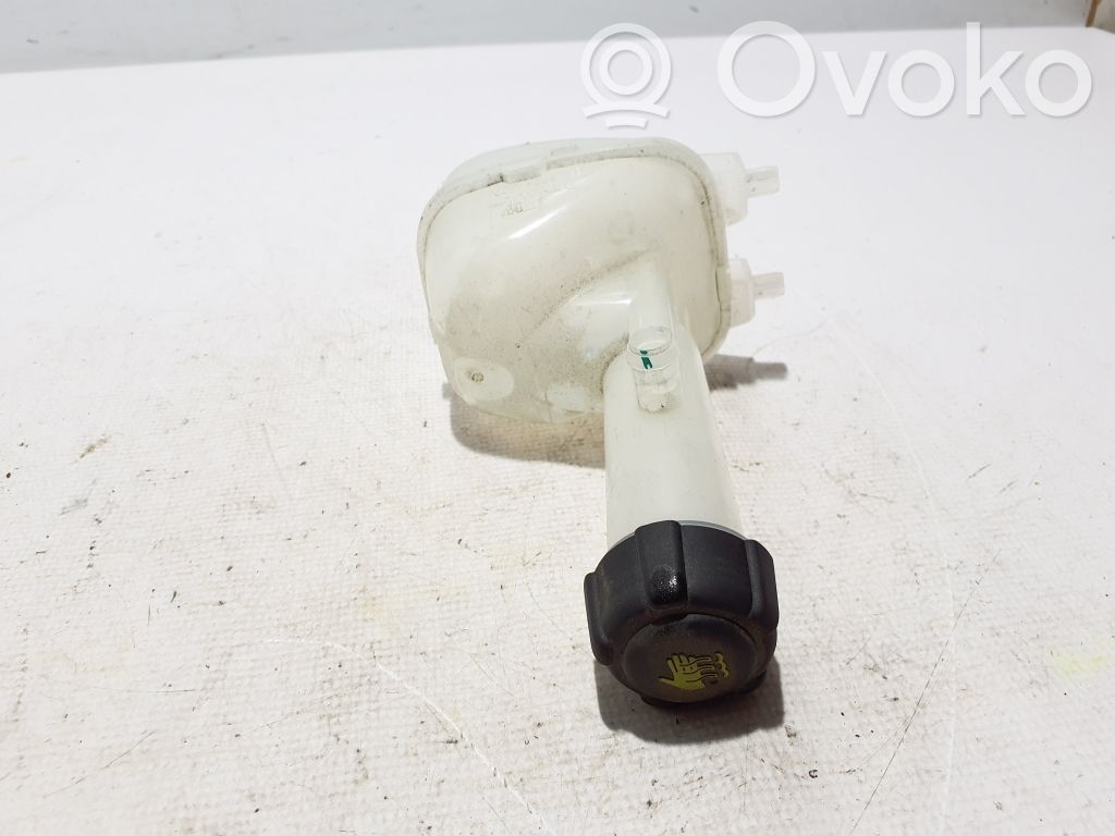 Renault Arkana Serbatoio di compensazione del liquido refrigerante/vaschetta 