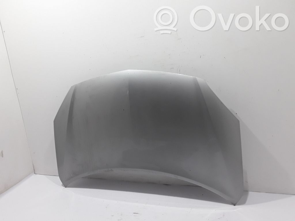Capotă motor   651000024R