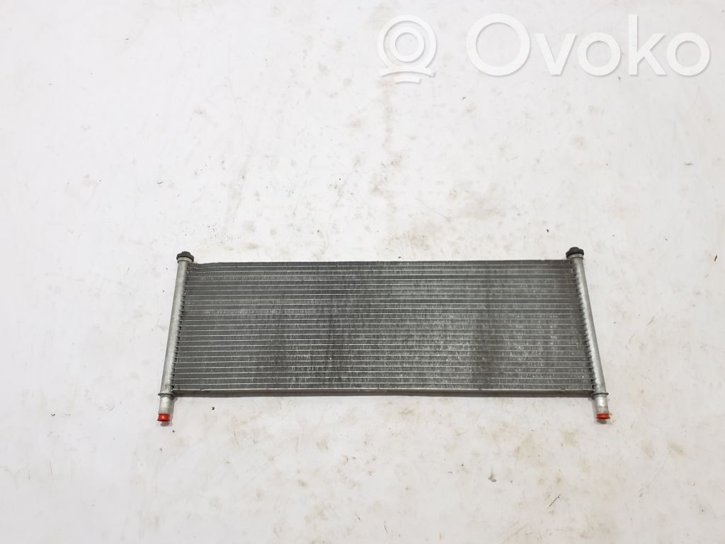 Tesla Model X Optional radiator 