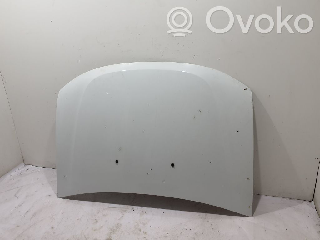 Capó/tapa del motor   651220017R