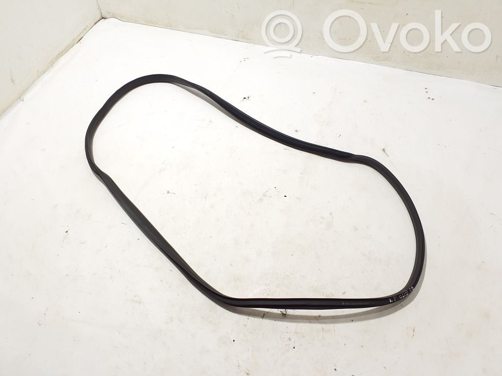 Renault Clio V Front door rubber seal 