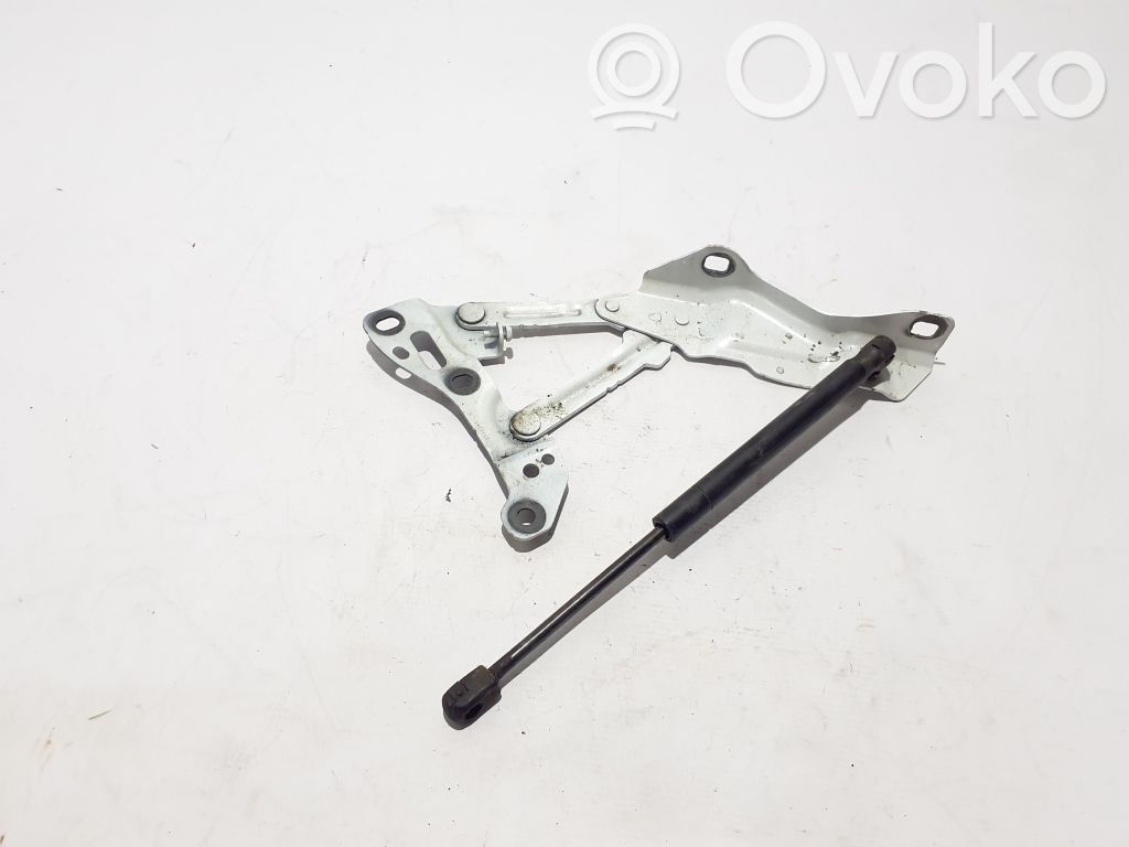Tesla Model X Engine bonnet/hood hinges 