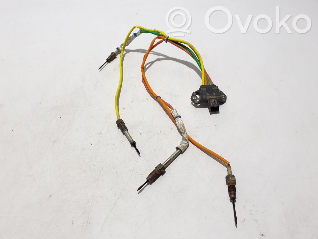 Renault Express Exhaust gas temperature sensor 