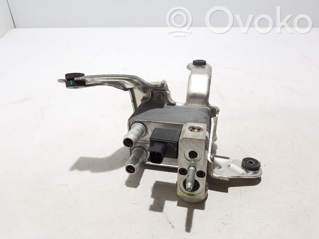 Ford Mach-E I Optional radiator 