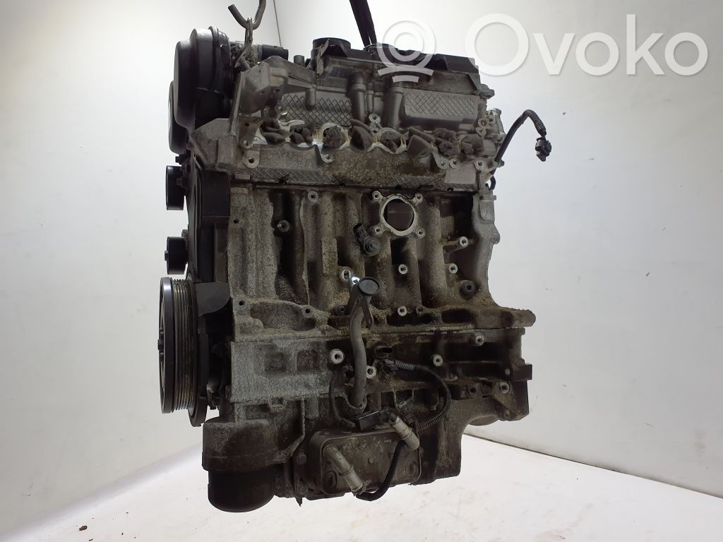 Engine   B4204T46