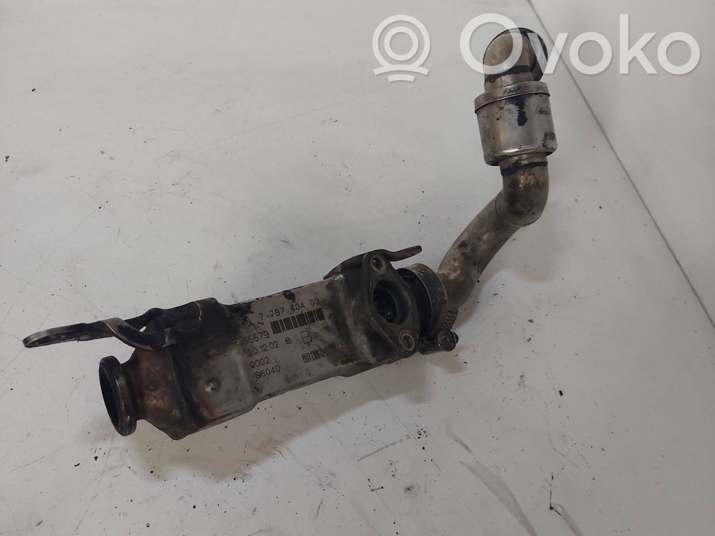 BMW 5 E39 EGR aušintuvas 