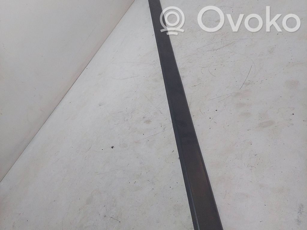 BMW 5 E39 Front door trim (molding) 