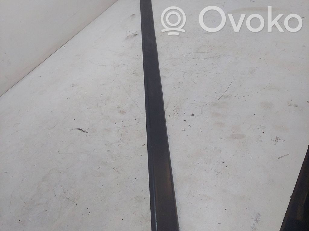 BMW 5 E39 Front door trim (molding) 