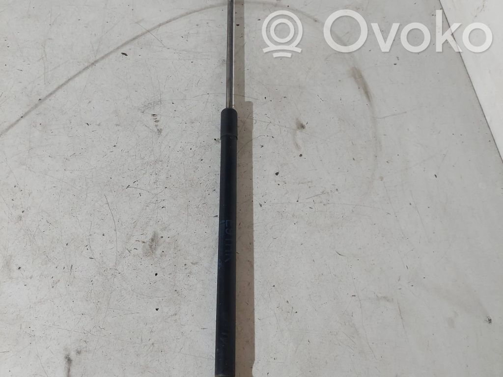 Tailgate/trunk strut/damper   51247127875