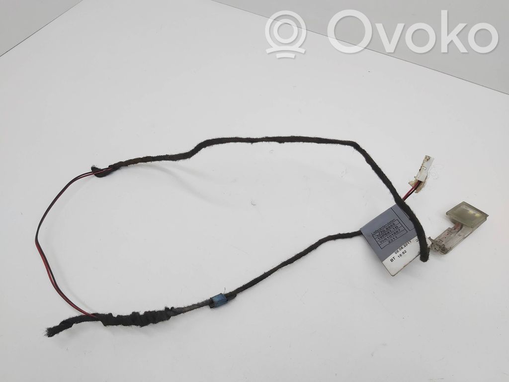 BMW X5 E70 Front door handle light (exterior) 