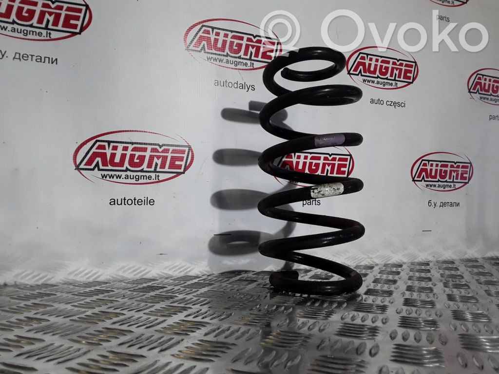 Muelle espiral trasero