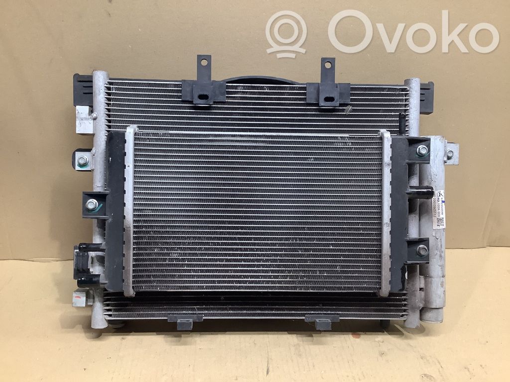 Dacia Spring Kit Radiateur 