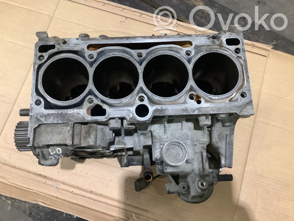 Volkswagen Golf VI Engine block 