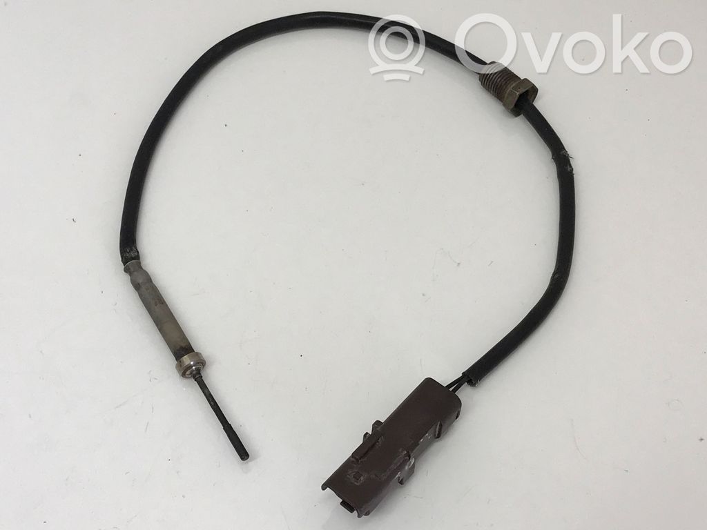 Citroen C5 Izplūdes gāzu temperatūras sensors 