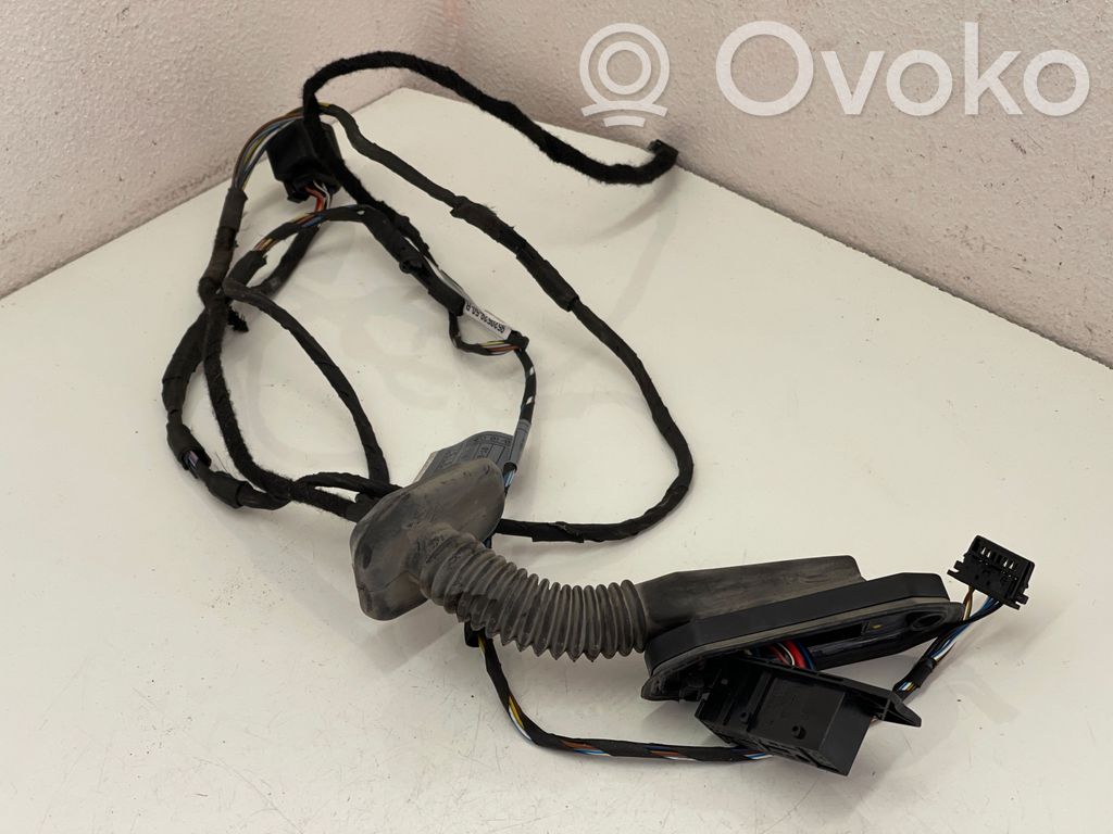 Cableado de puerta trasera   912079702,C079182R,952052950R,C079182R