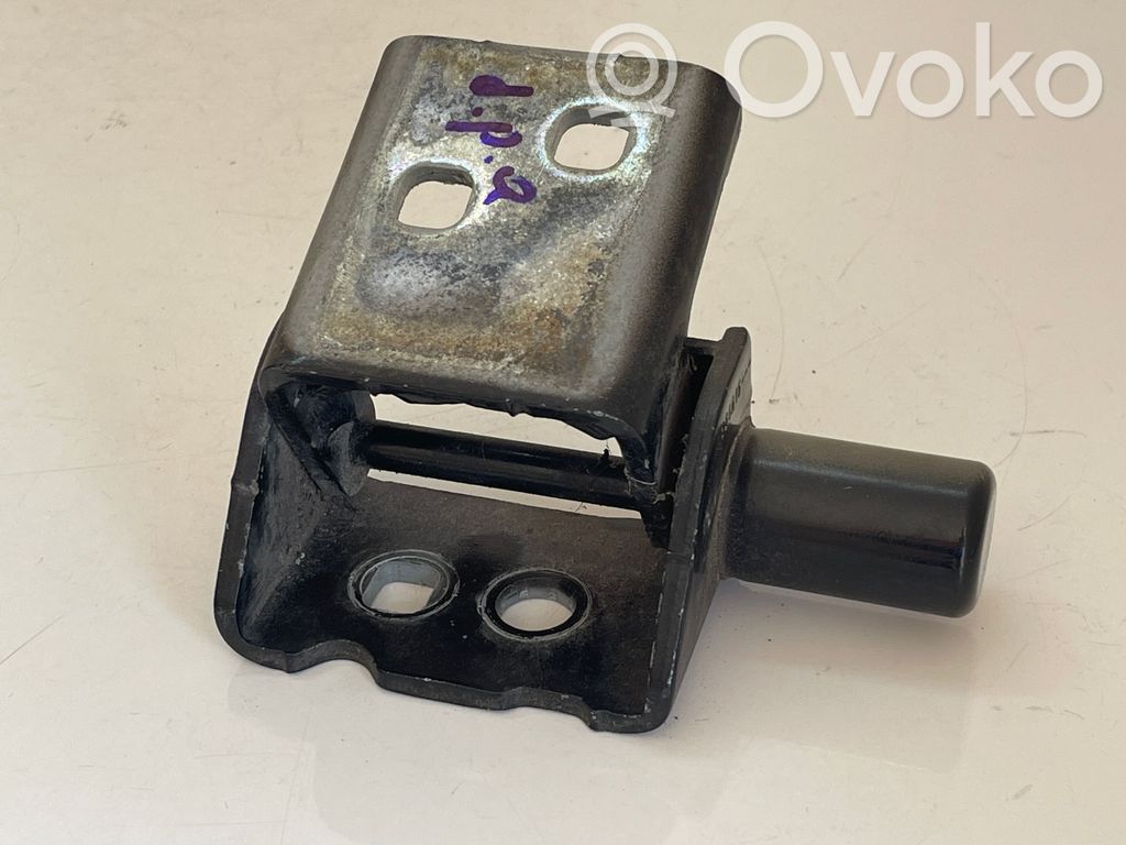 Renault Clio III Front door lower hinge 