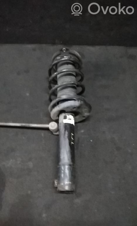 Volkswagen Golf V Front shock absorber/damper 