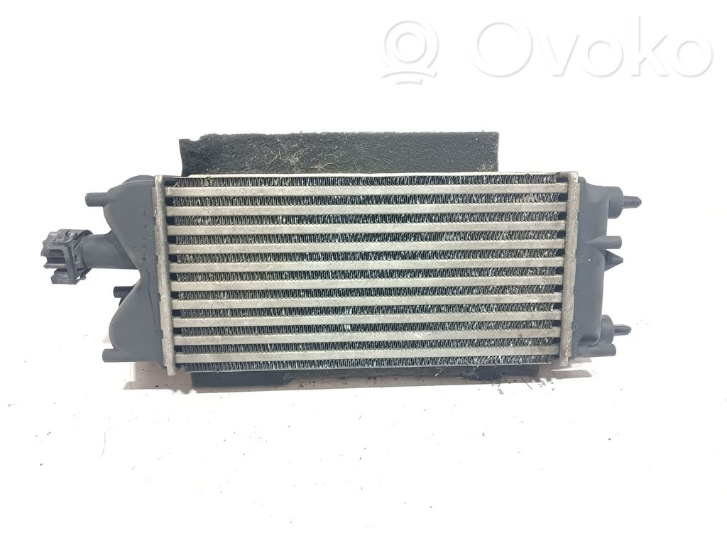 Intercooler radiator   AV219L440AC