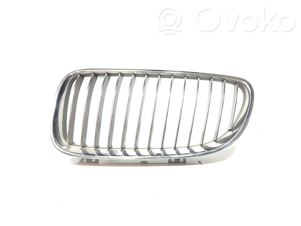 Front grill   LADOESQUERDO