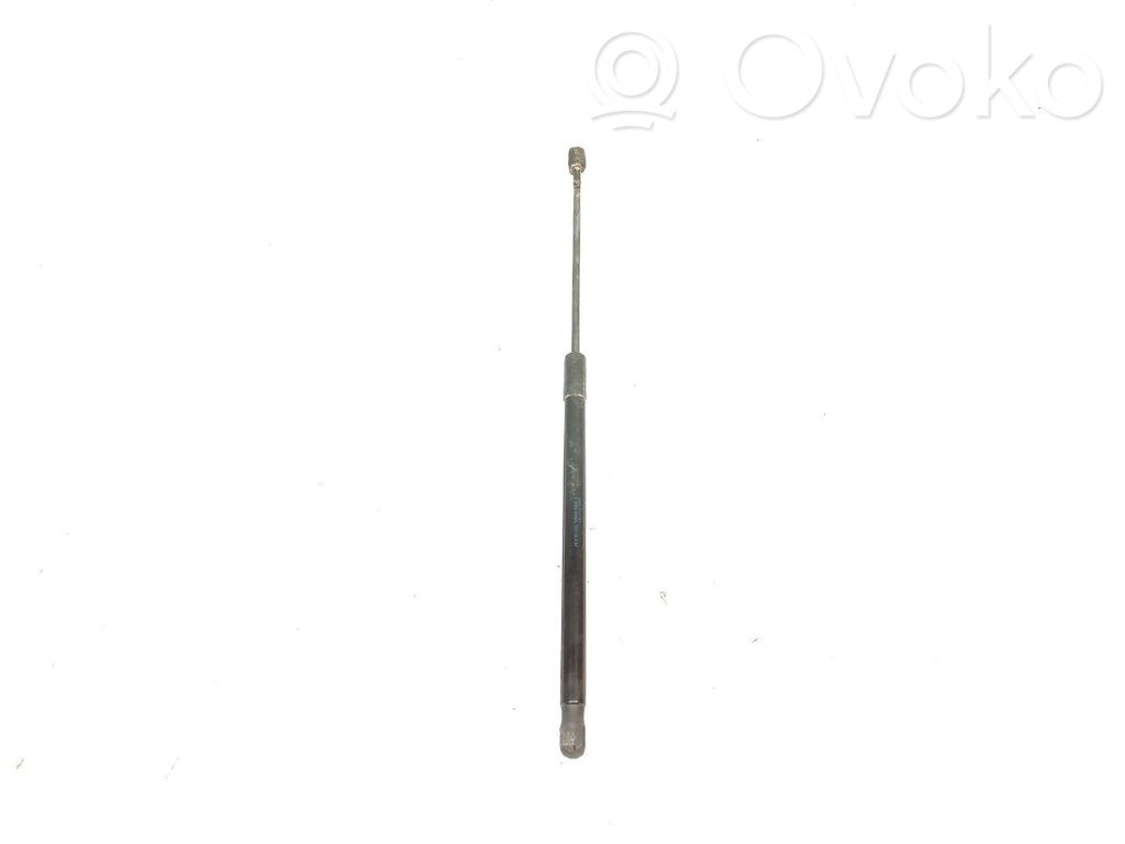 BMW X1 E84 Ammortizzatore portellone posteriore/bagagliaio