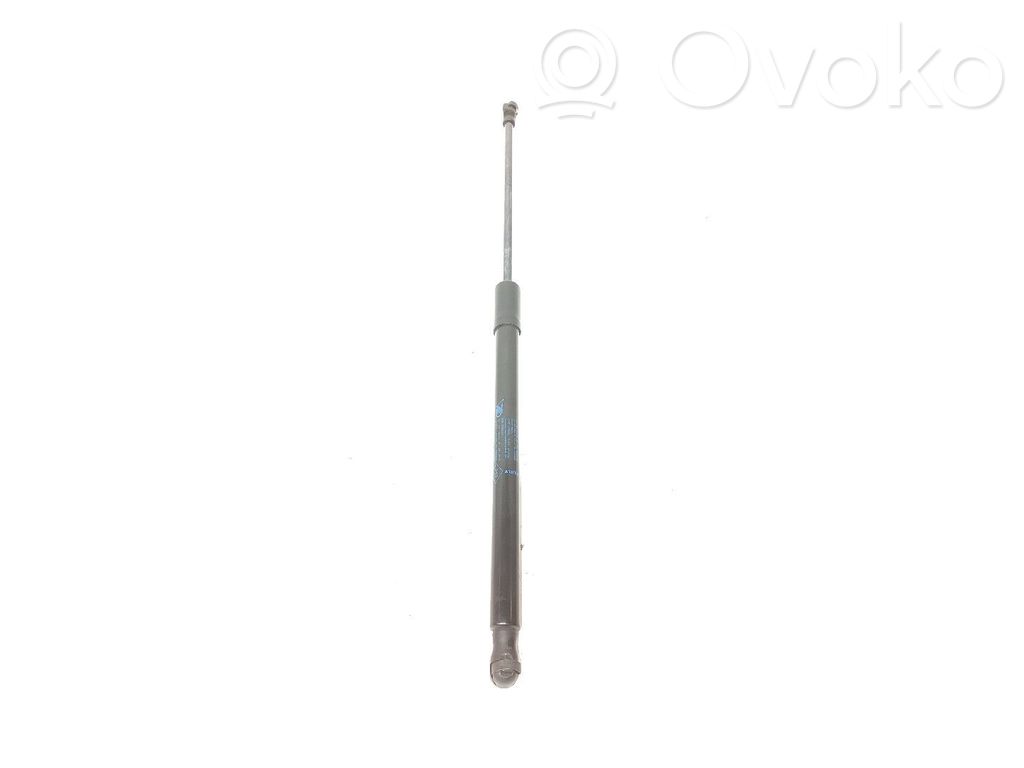 Vérin de capot arrière   904508213R