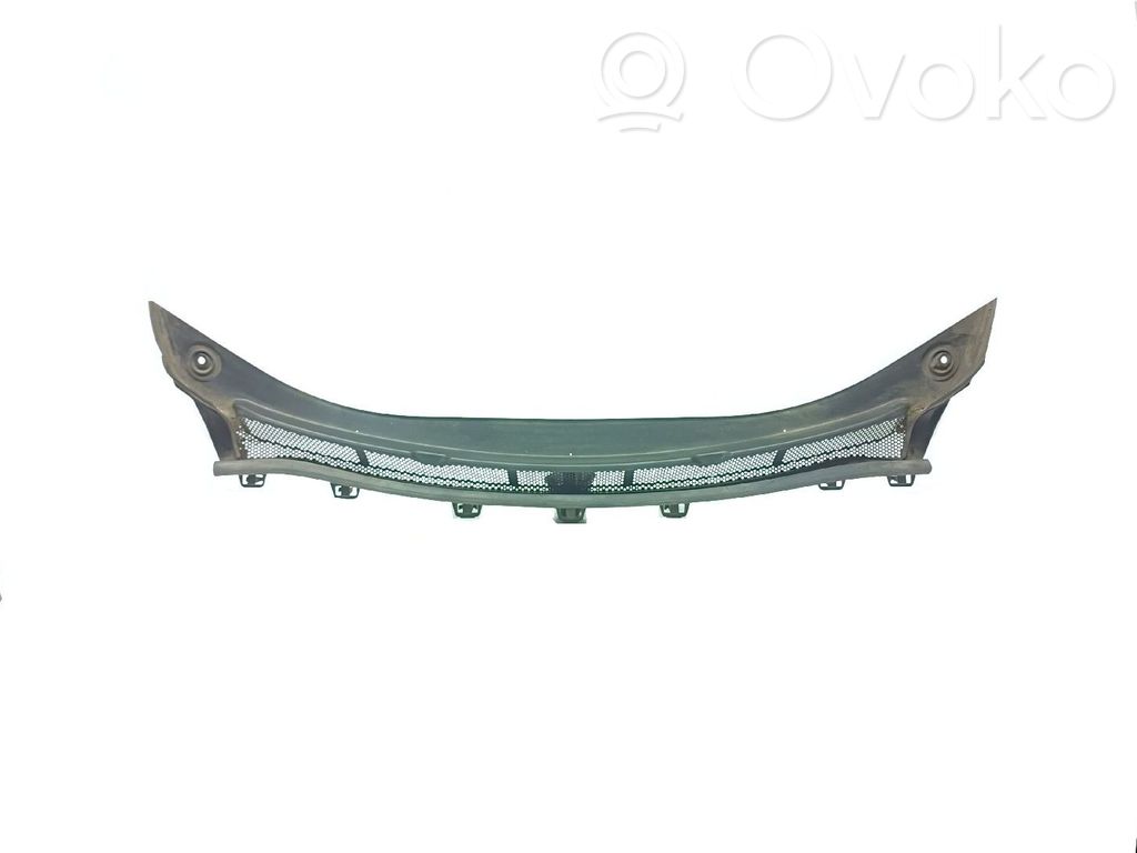 Moldura del limpia   39126930,333601545