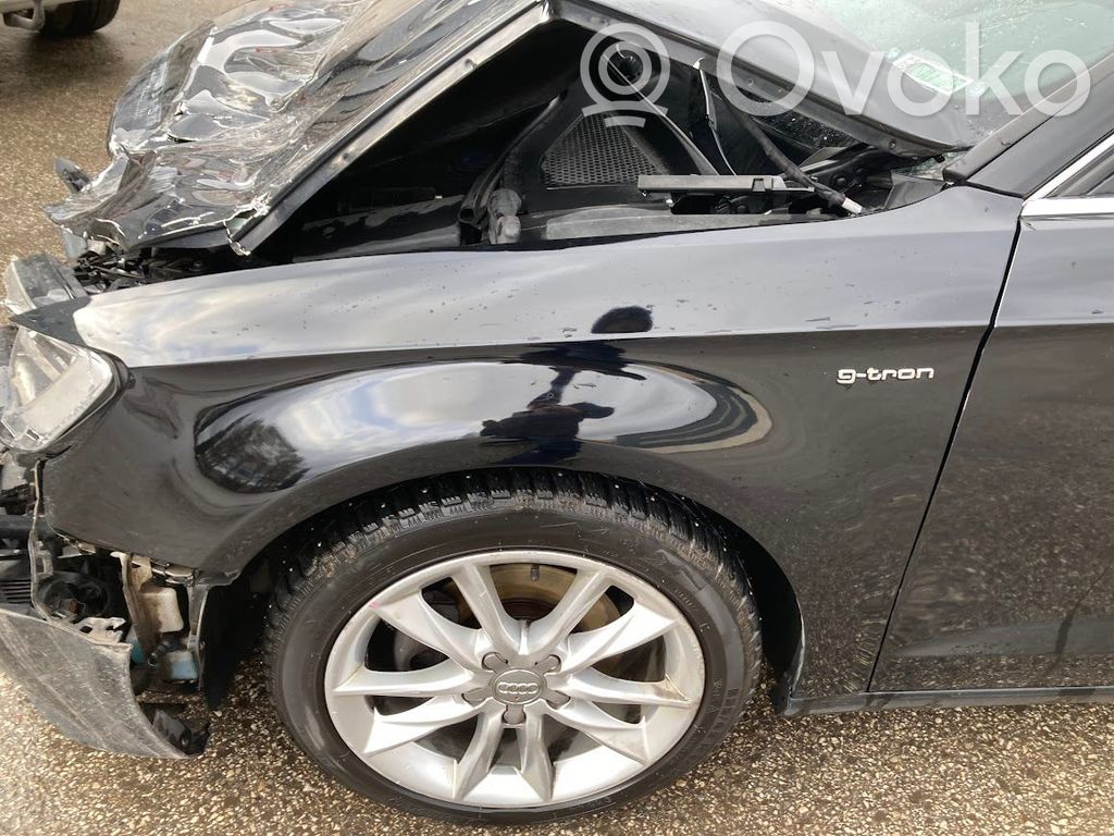 Audi RS3 Guardabarro 