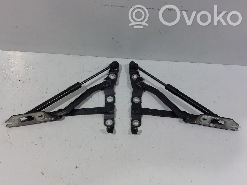 Tailgate/trunk/boot hinge   8F0827301A,8F0827301A,8F0827302A,8F0827550A
