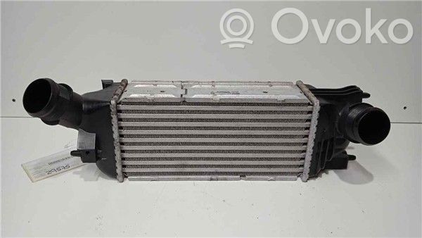 Peugeot 407 Radiator intercooler 