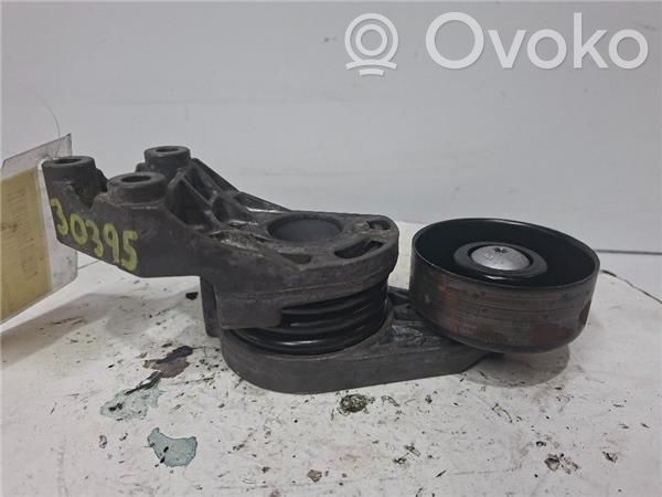 Seat Ibiza III (6L) Tensor de correa del alternador 